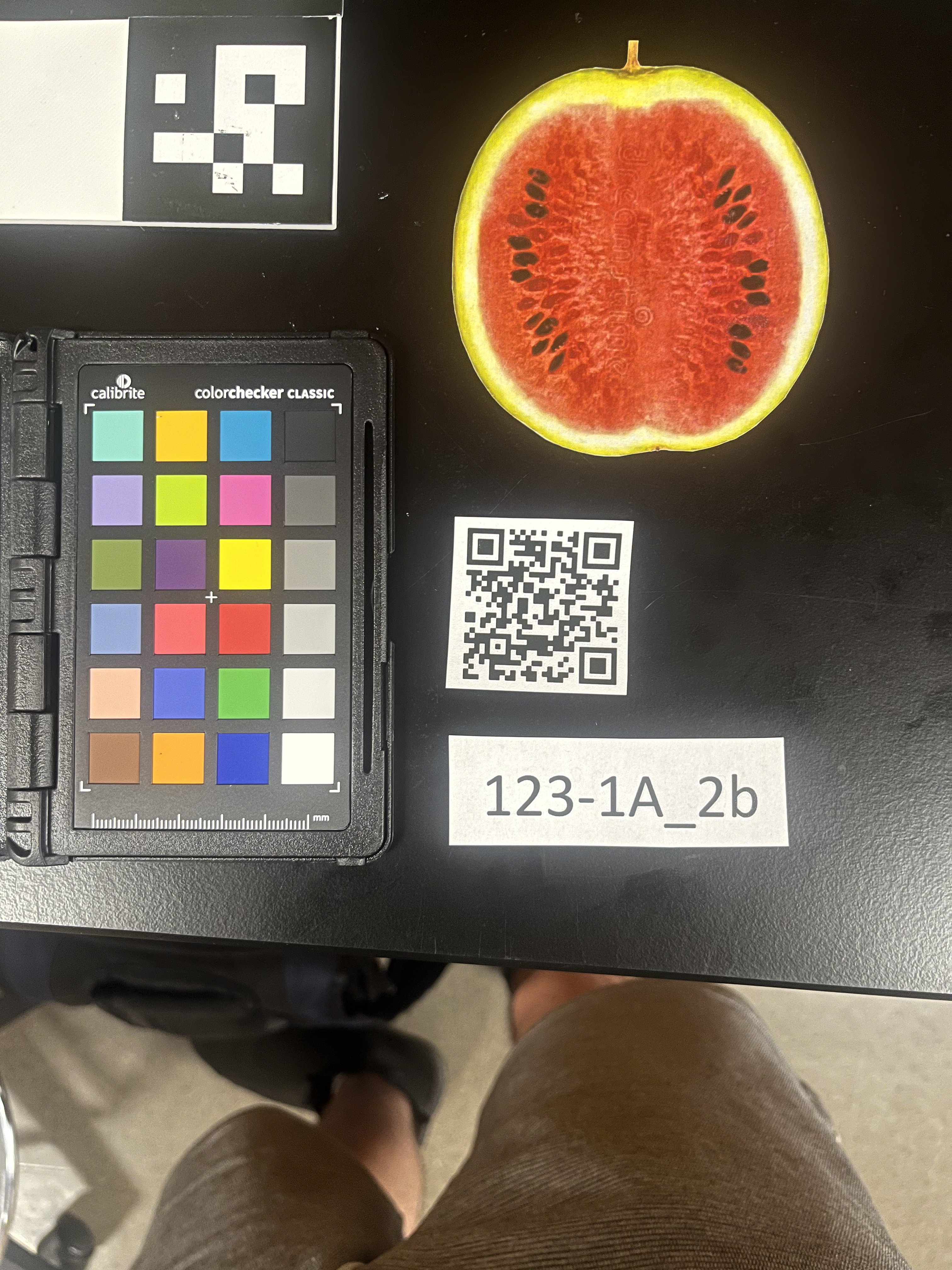 Example fruit image expected by the program